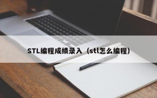 STL编程成绩录入（stl怎么编程）