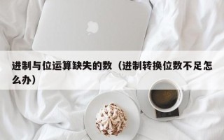 进制与位运算缺失的数（进制转换位数不足怎么办）