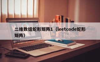 二维数组蛇形矩阵1（leetcode蛇形矩阵）