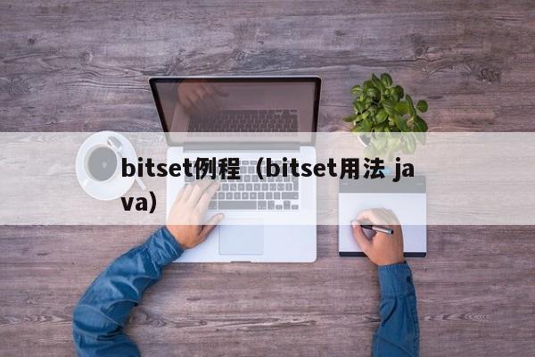 bitset例程（bitset用法 java）-第1张图片-东莞河马信息技术